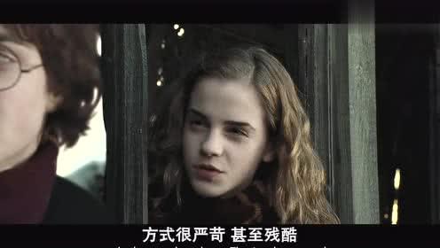 哈利波特4在线观看,火焰杯在线观影指南